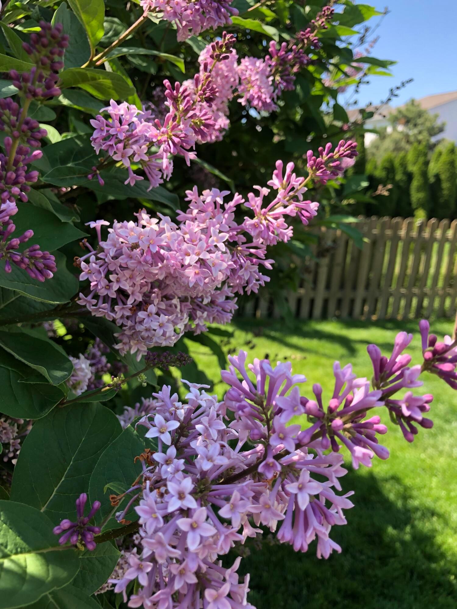 9226 Prestwick Green Drive