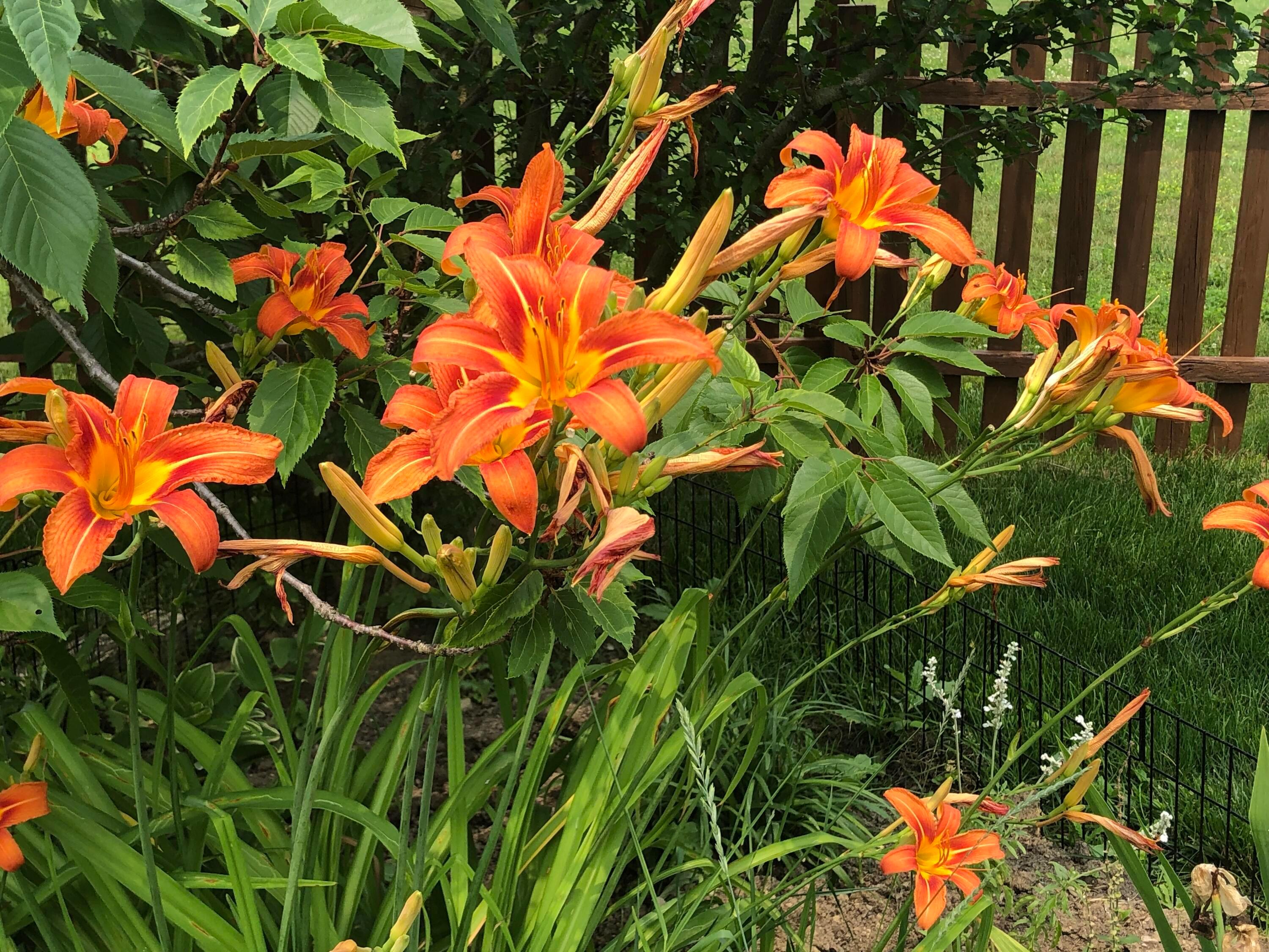 9226 Prestwick Green Drive