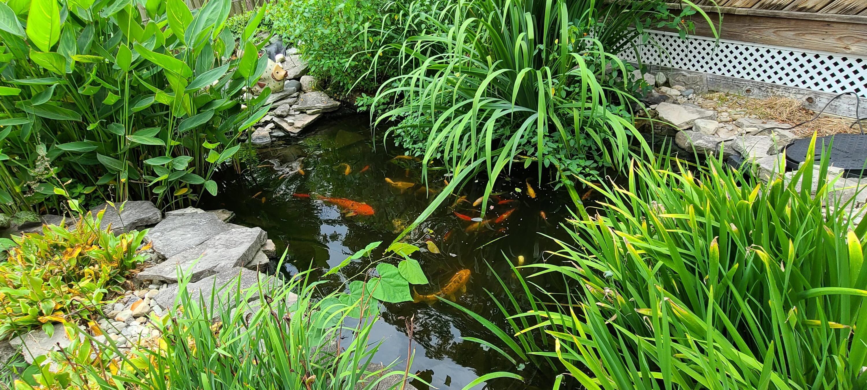 1621 Carrigallen Lane