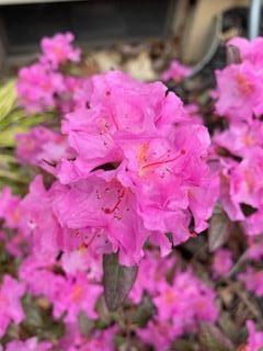 156 Keethler Drive S