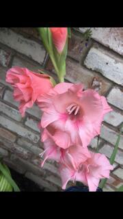 156 Keethler Drive S