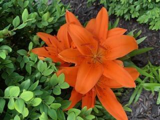 156 Keethler Drive S