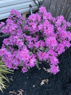 156 Keethler Drive S