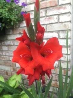 156 Keethler Drive S