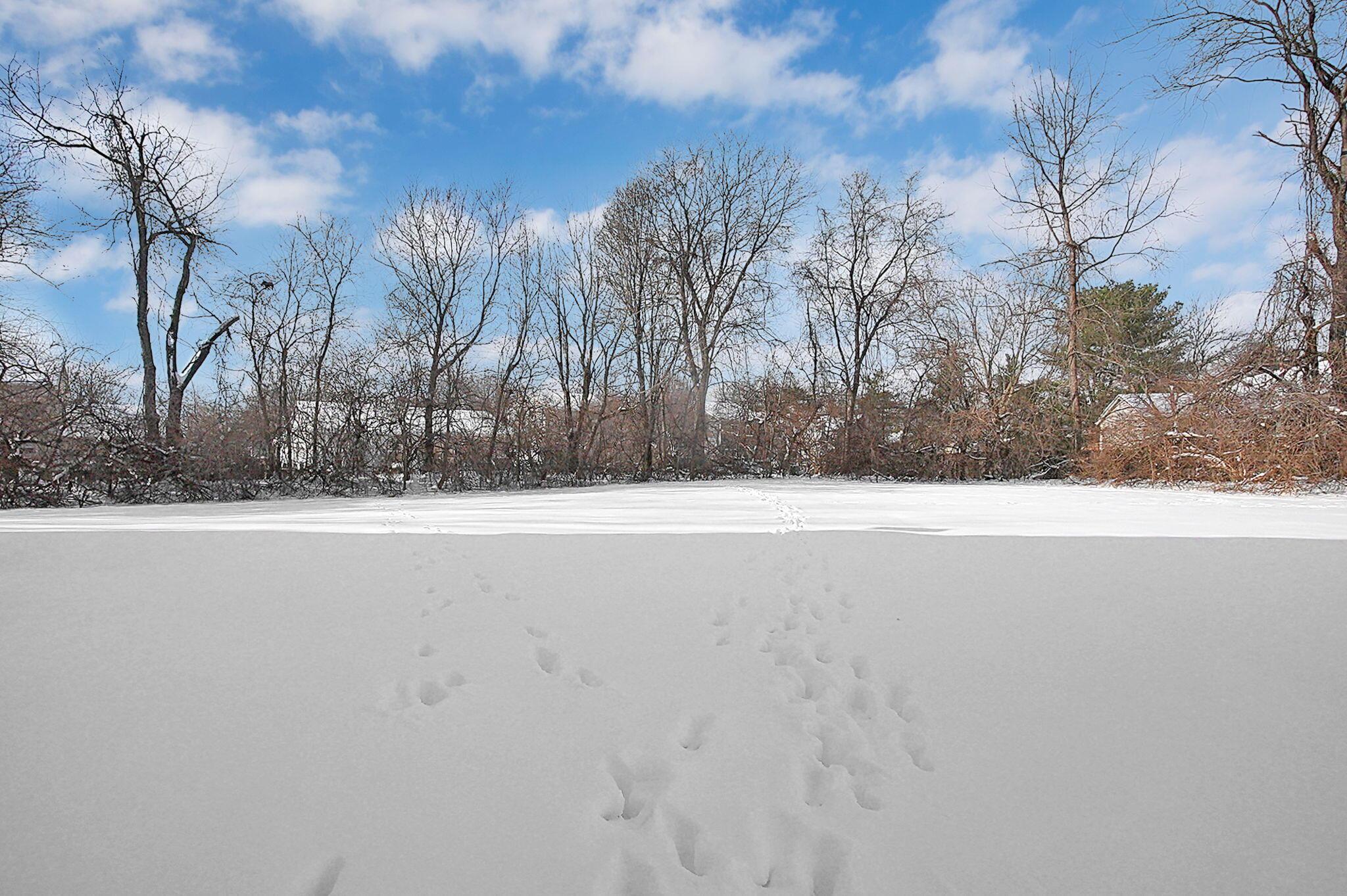 3597 Motts Place Court