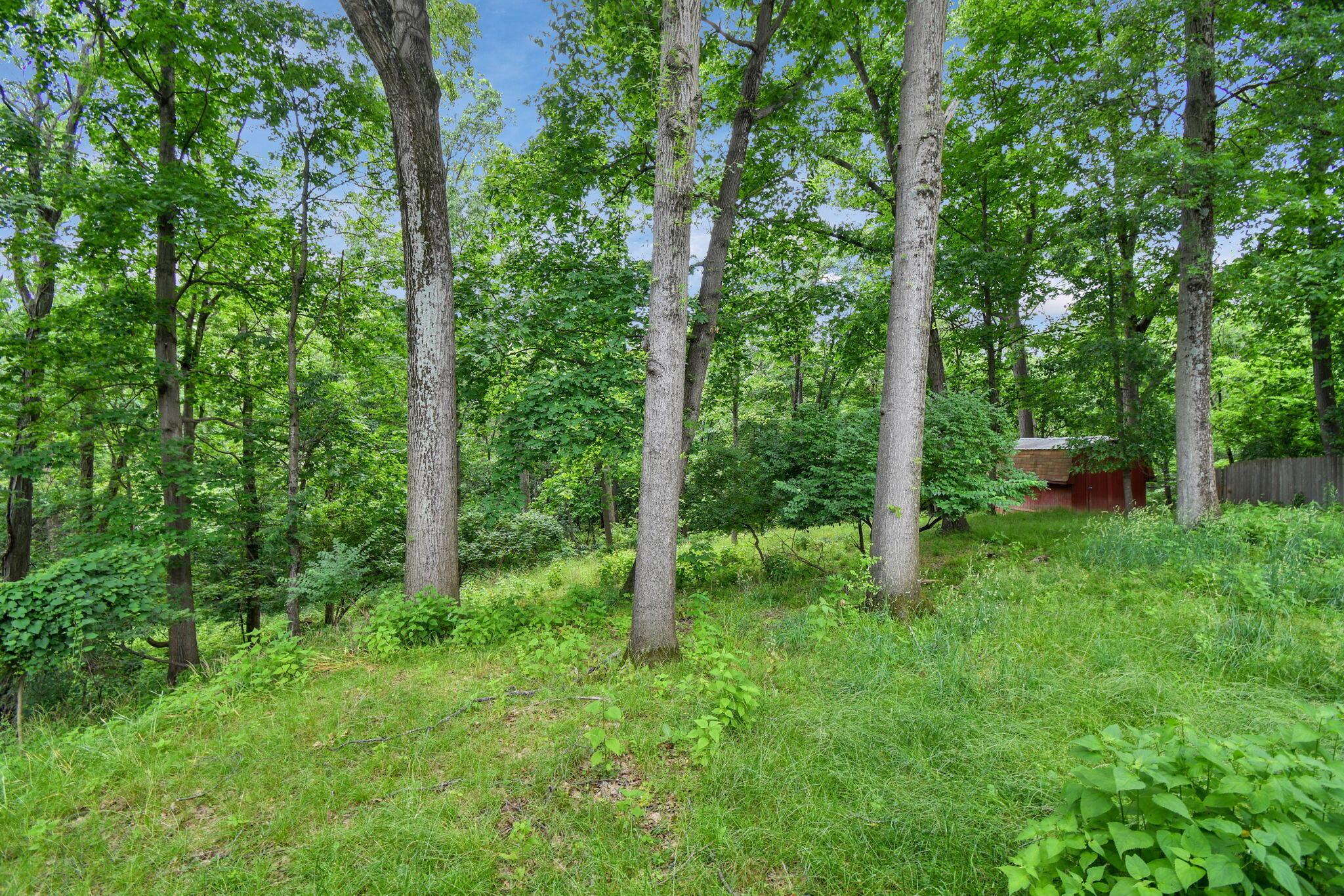 5650 Indian Mound Court
