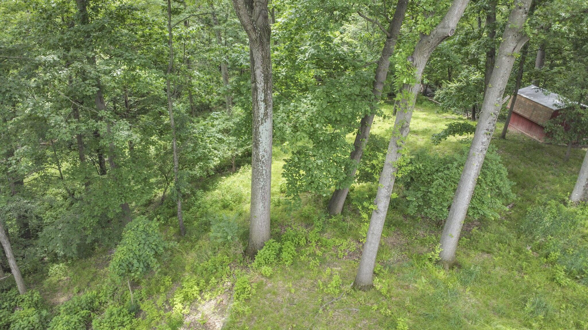 5650 Indian Mound Court