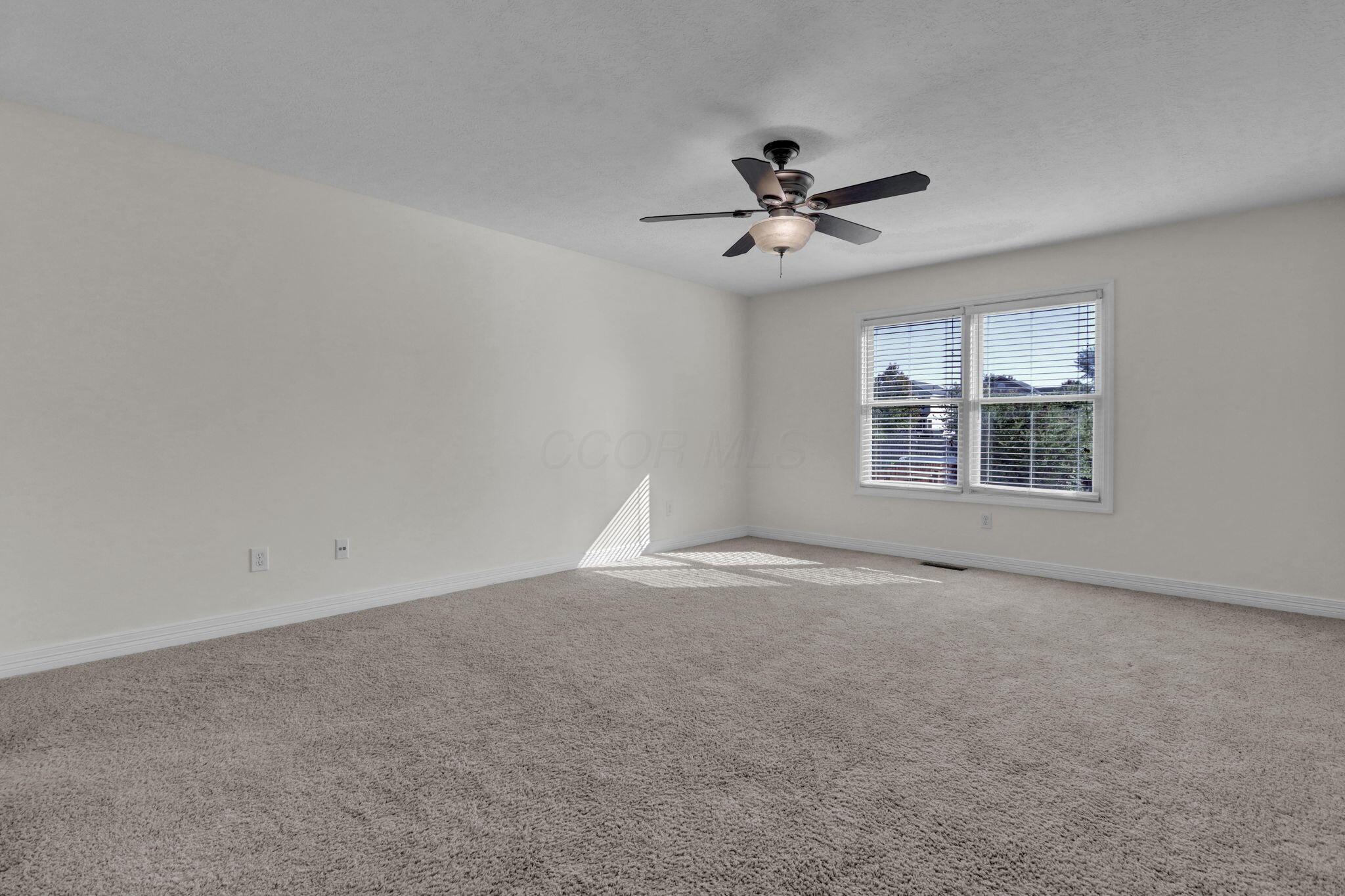 1174 Mcneil Drive