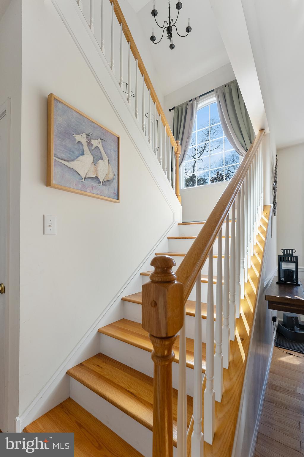 104 Cape May Ave
