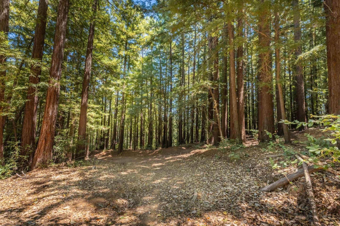 7175 Redwood Retreat RD