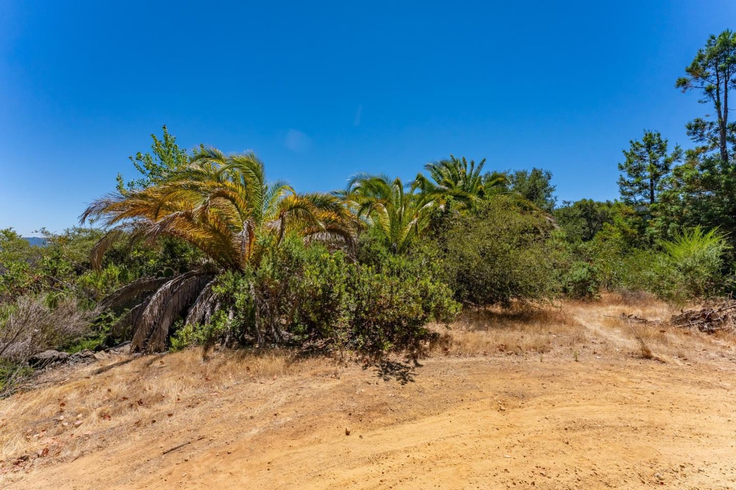 7175 Redwood Retreat RD