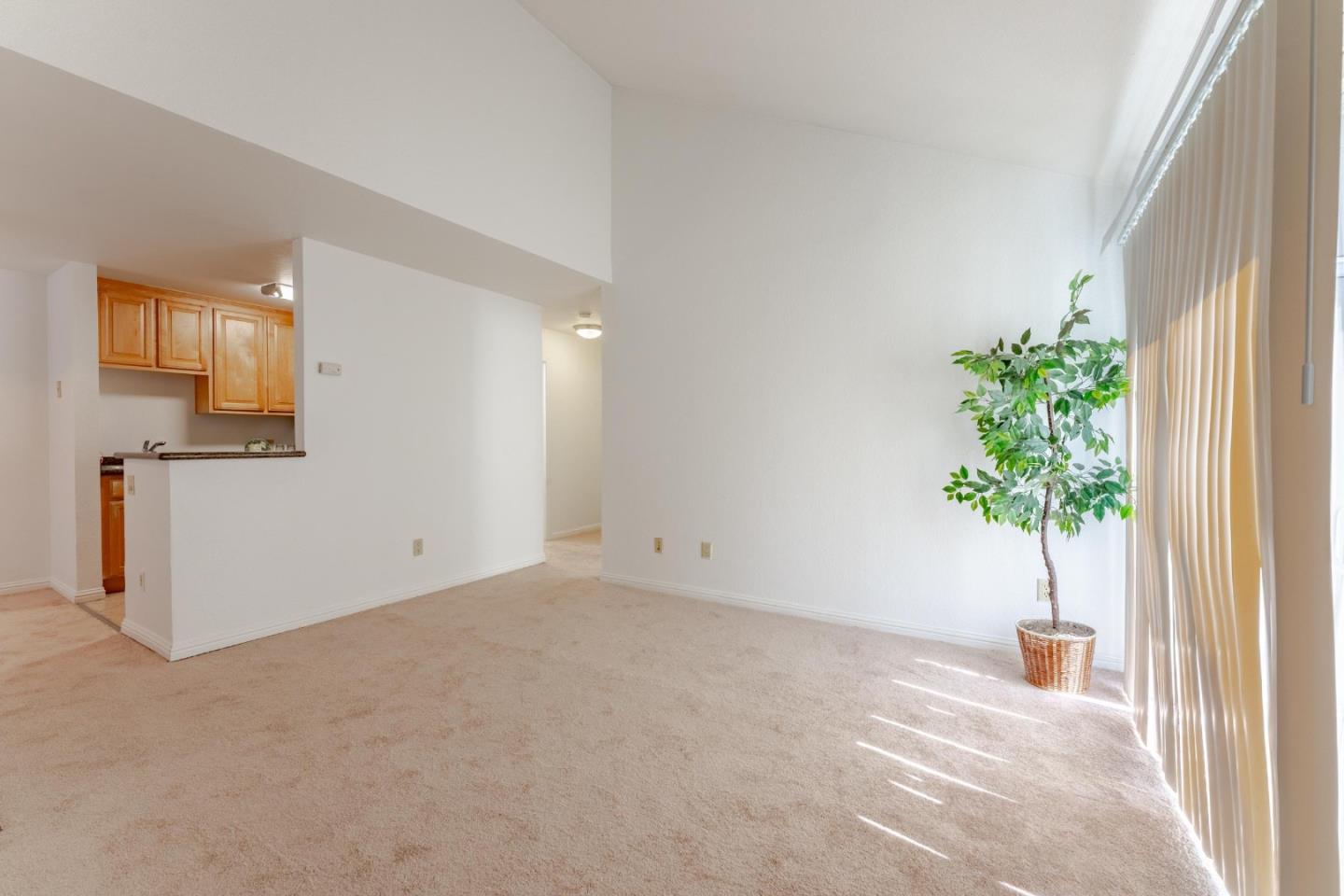 141 Monte Verano Court