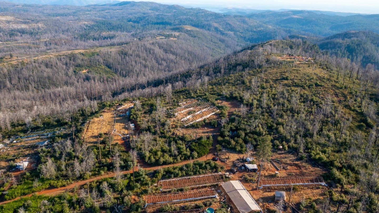 175 Bonnie Meadow Lane