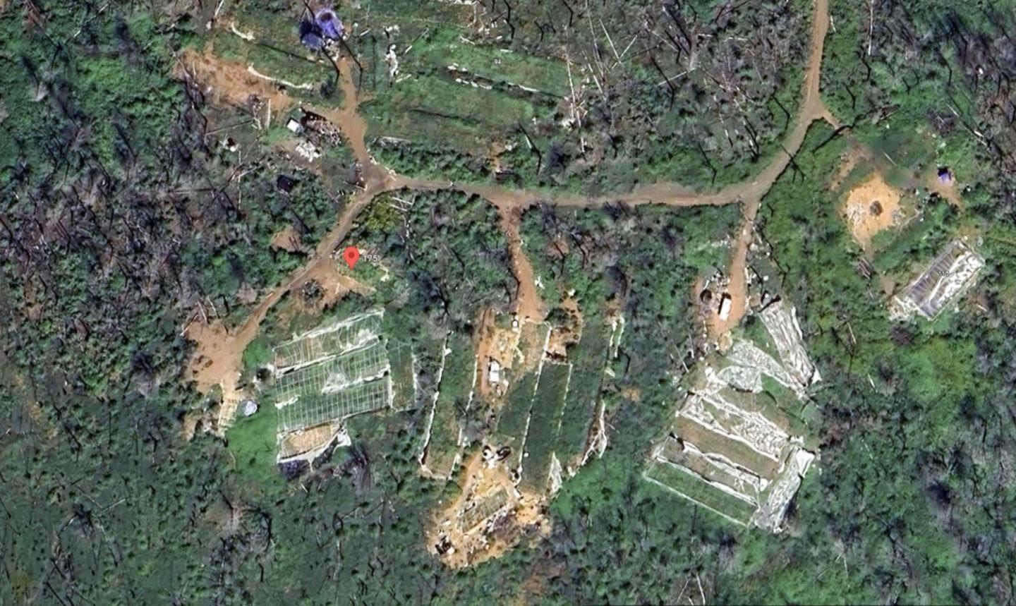 175 Bonnie Meadow Lane