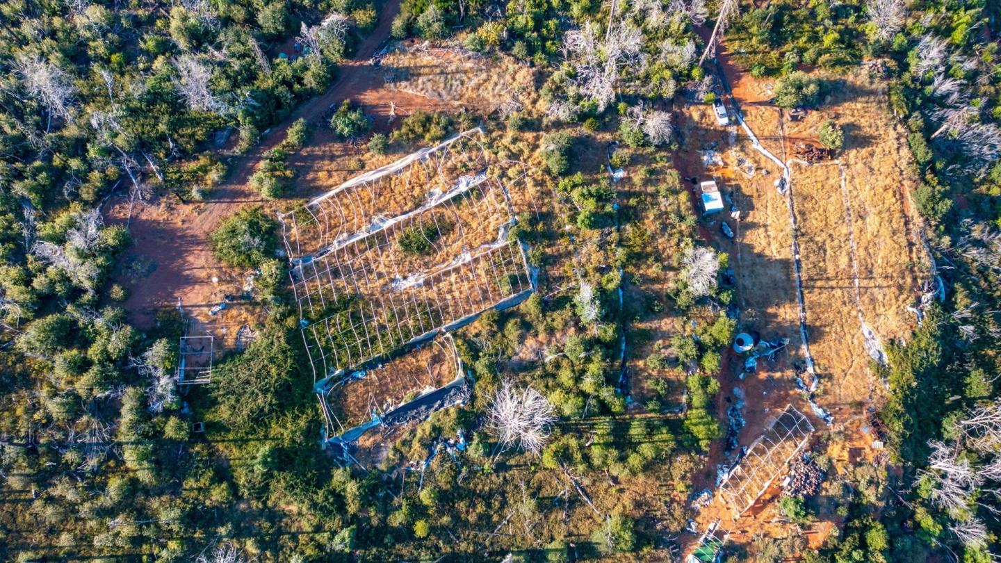 175 Bonnie Meadow Lane