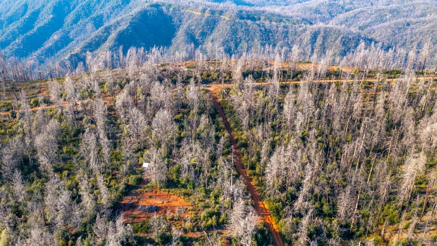 175 Bonnie Meadow Lane