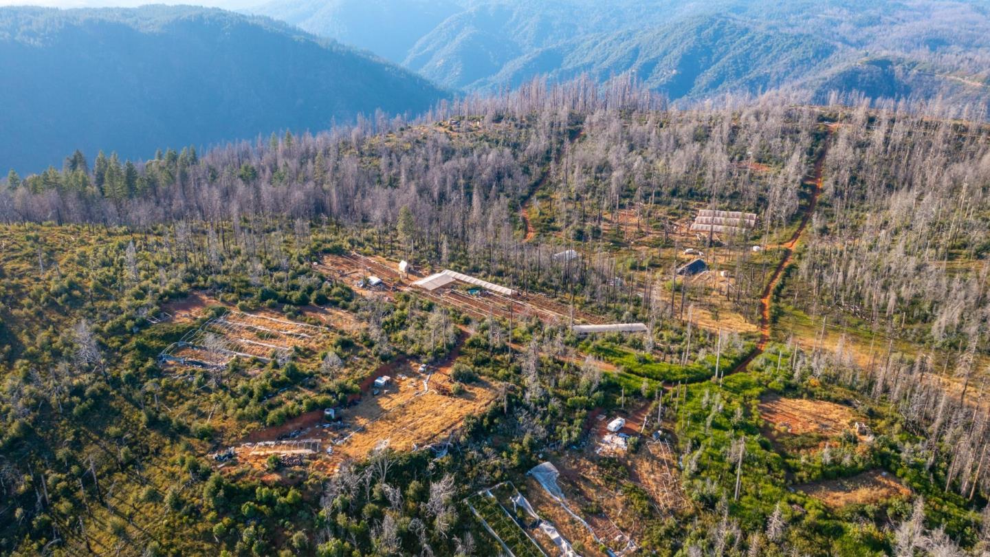 175 Bonnie Meadow Lane