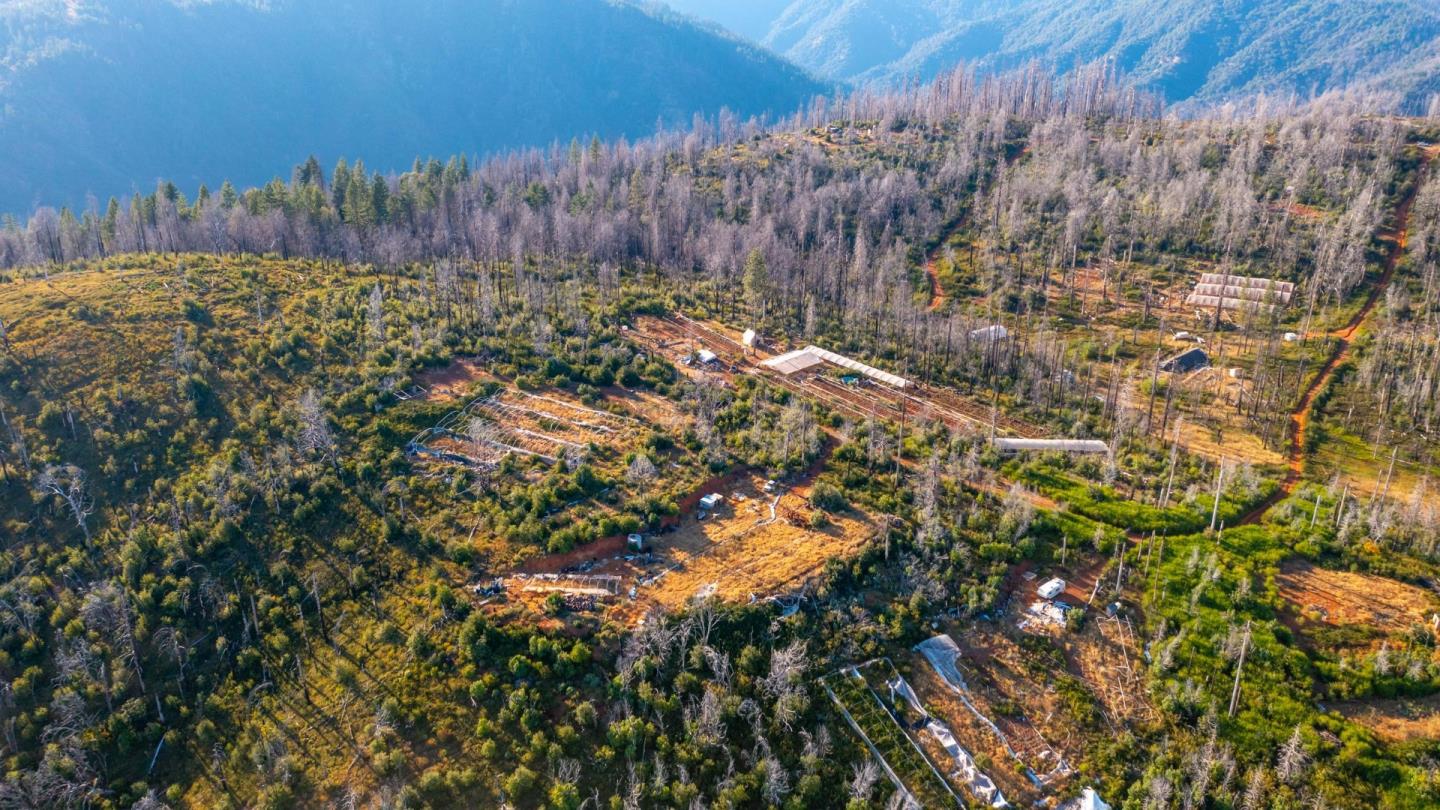 175 Bonnie Meadow Lane