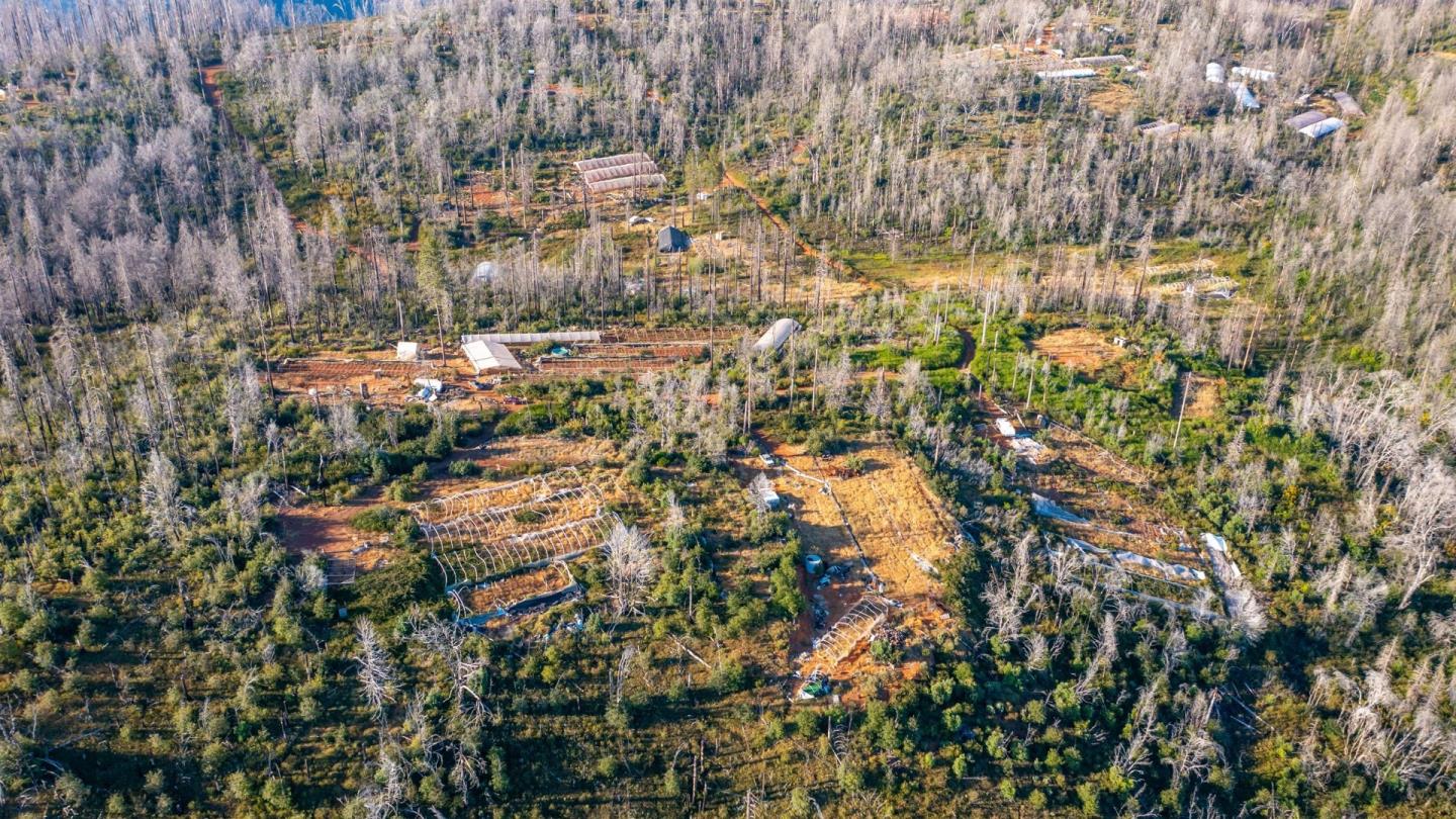 175 Bonnie Meadow Lane