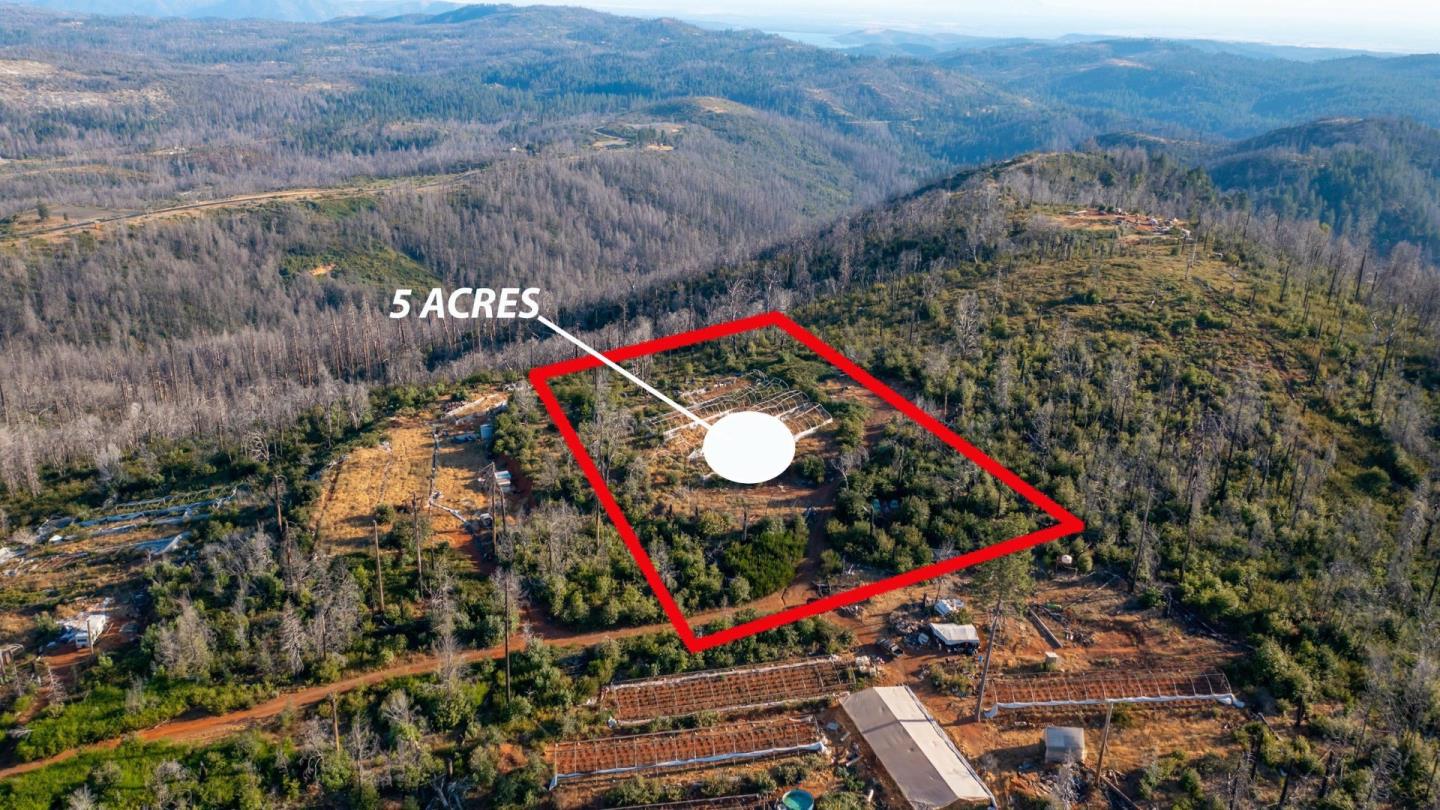 175 Bonnie Meadow Lane