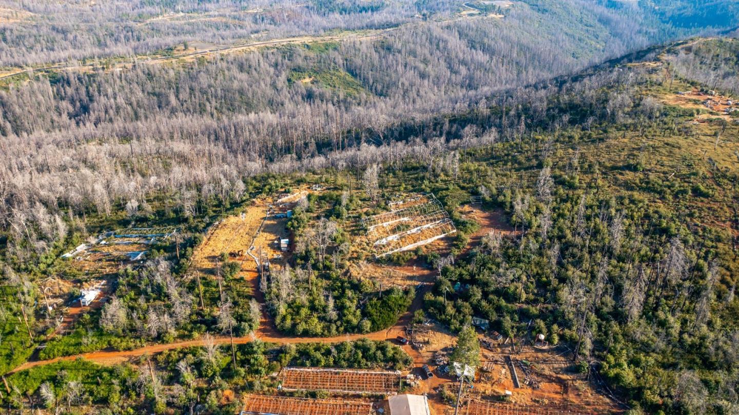 175 Bonnie Meadow Lane