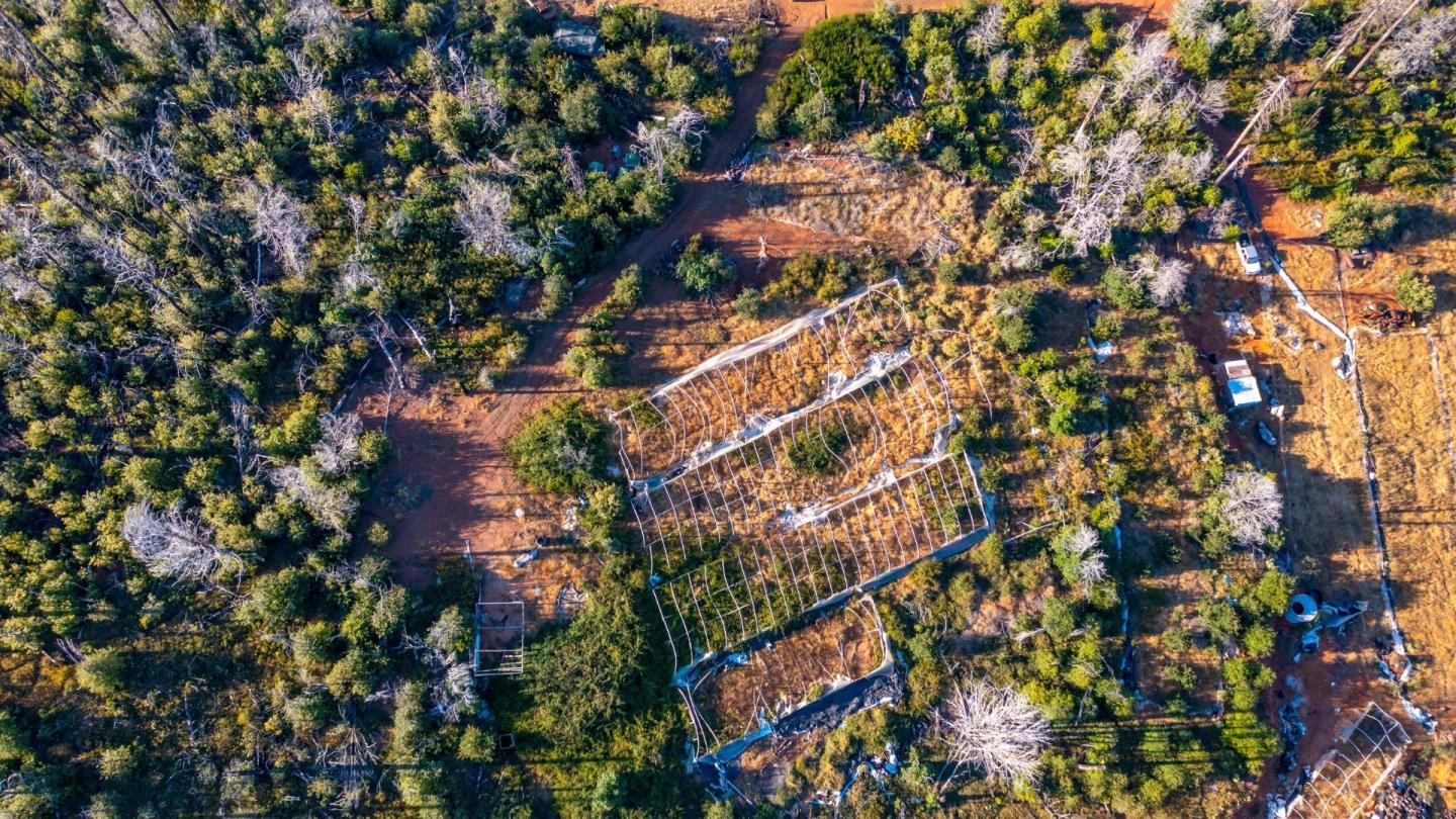 175 Bonnie Meadow Lane