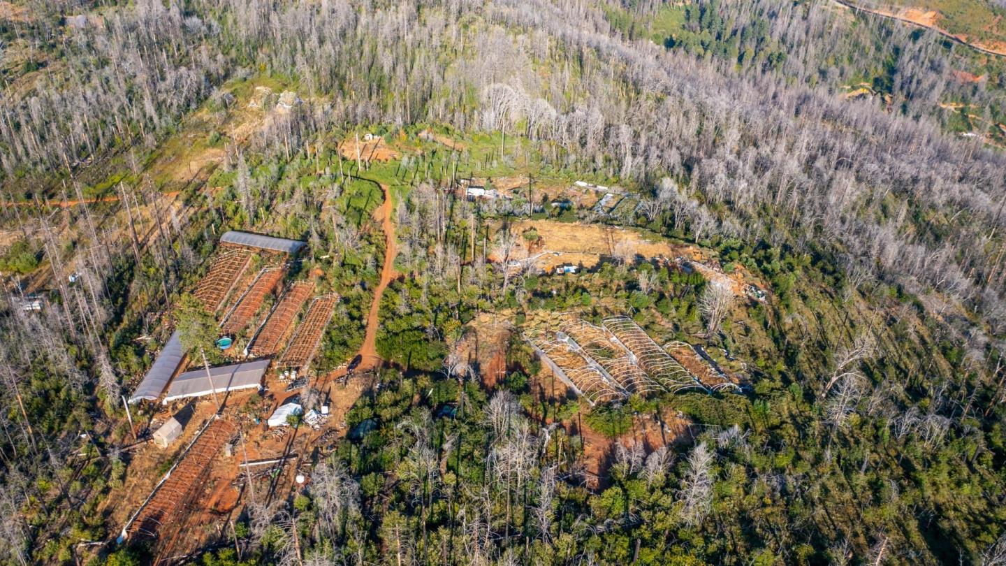 175 Bonnie Meadow Lane