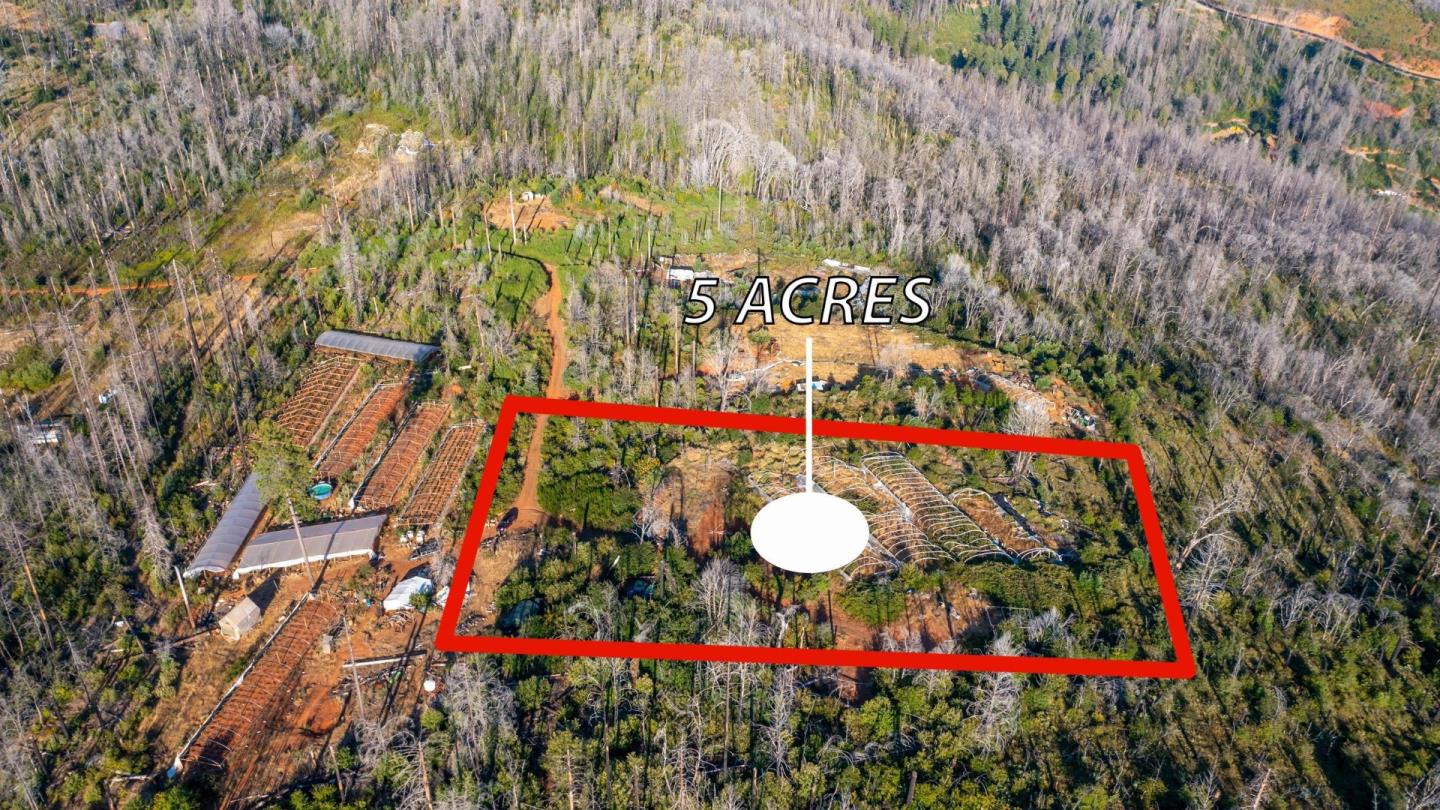 175 Bonnie Meadow Lane