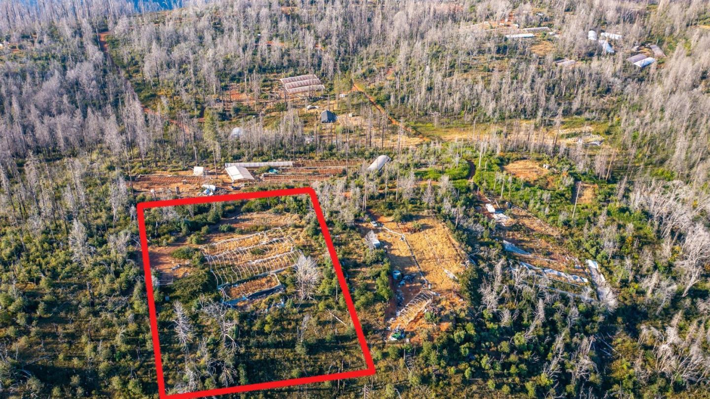 175 Bonnie Meadow Lane