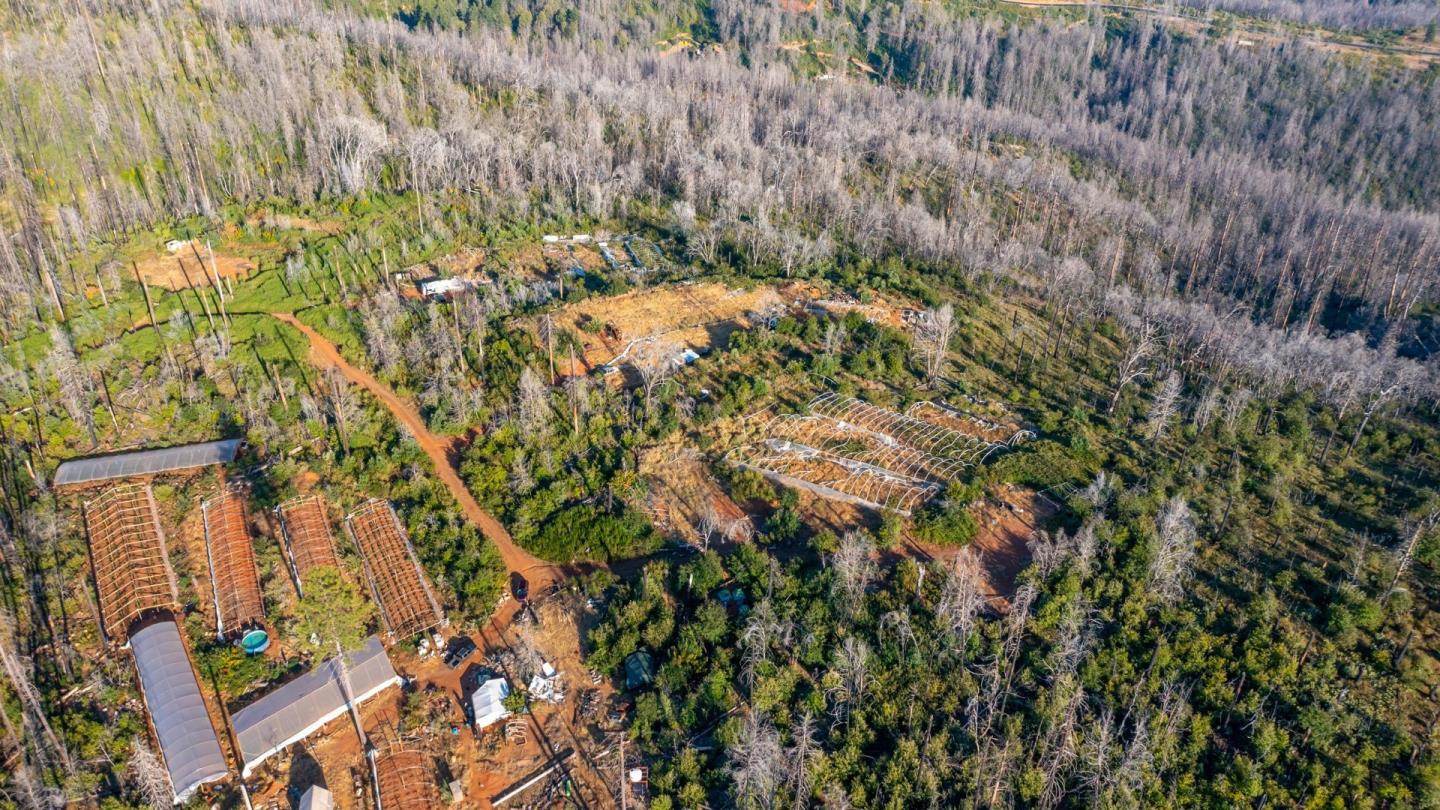 175 Bonnie Meadow Lane