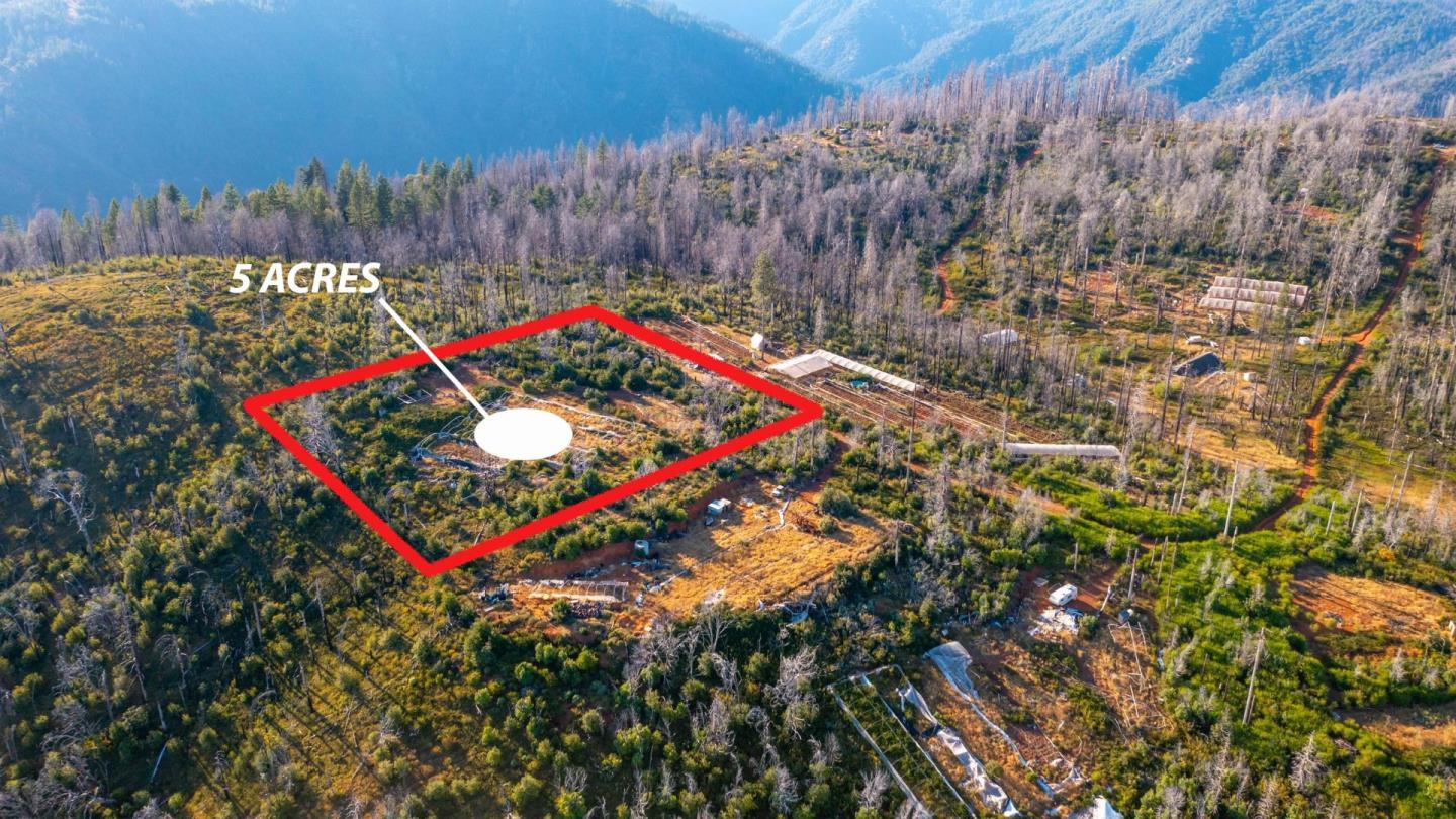 175 Bonnie Meadow Lane