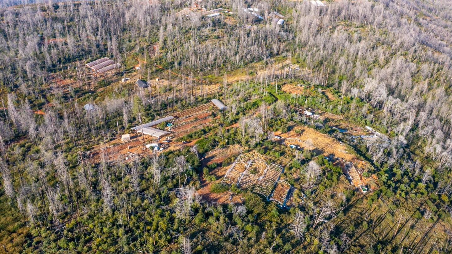 175 Bonnie Meadow Lane