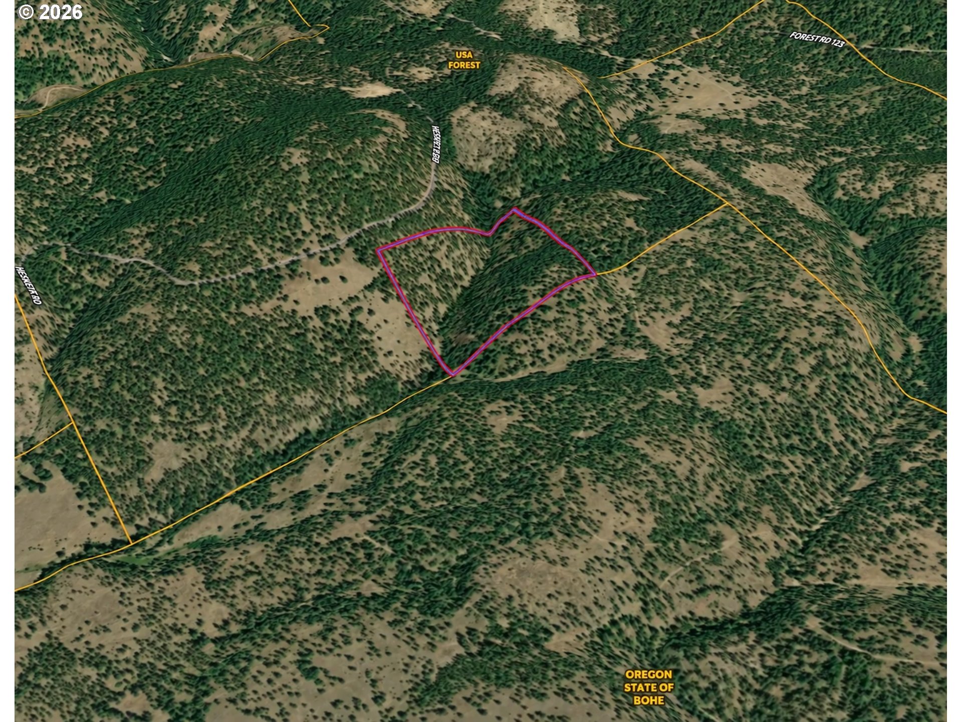Aerial view of a forested parcel outlined in magenta among wooded hills and rural roads.