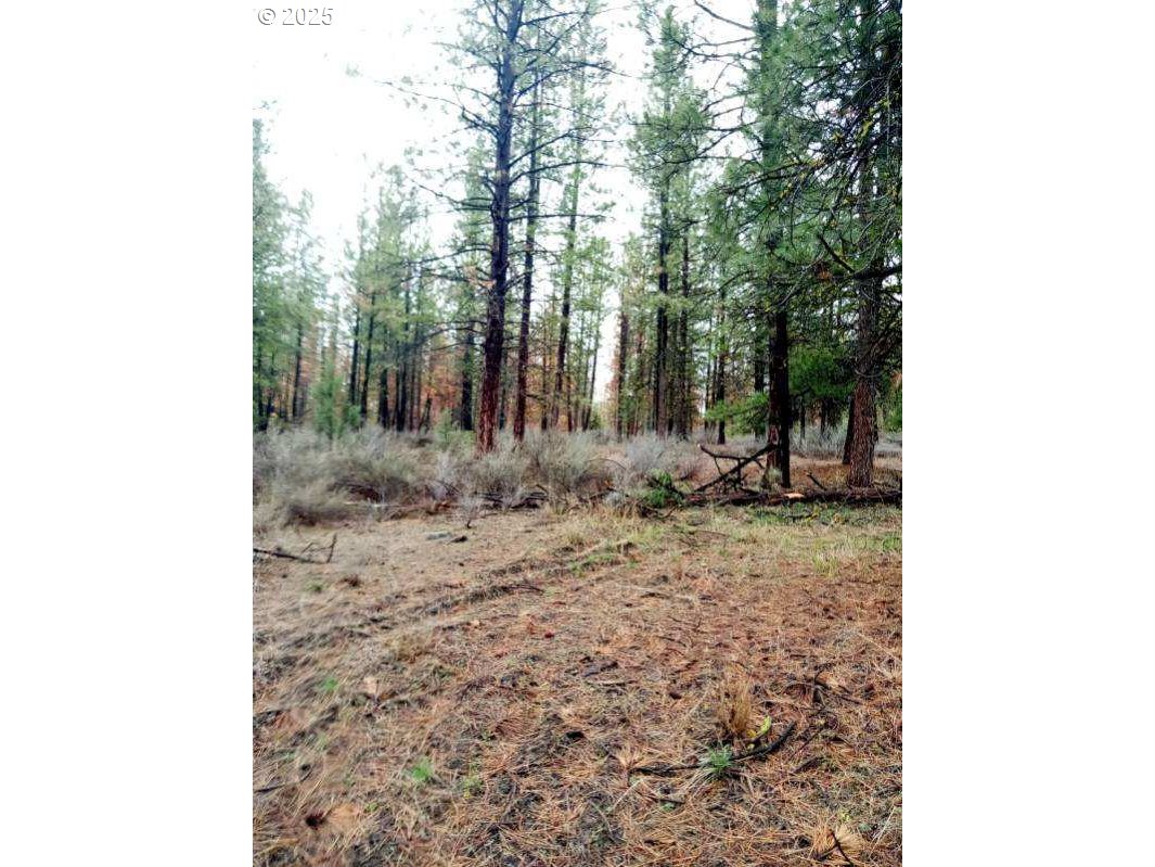 1 Forest Rd 9715