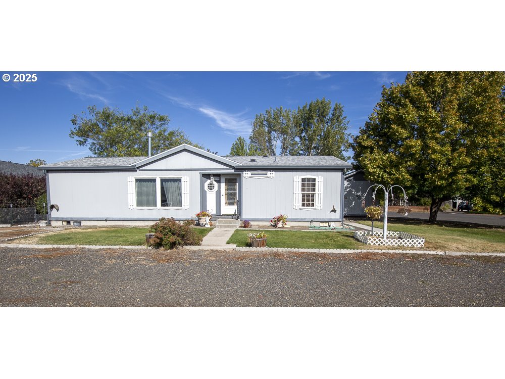 10704 WHITE BIRCH LN photo