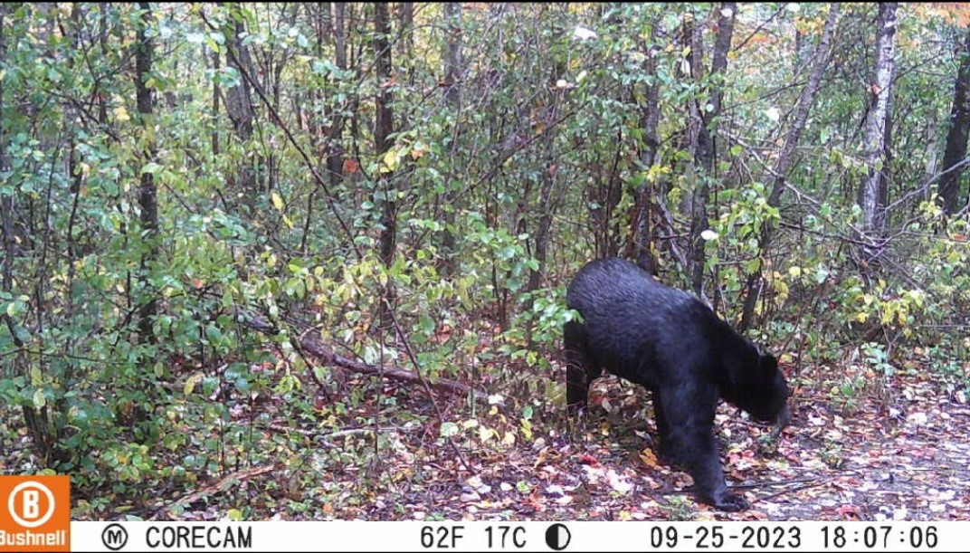 5770 N Bell School Road