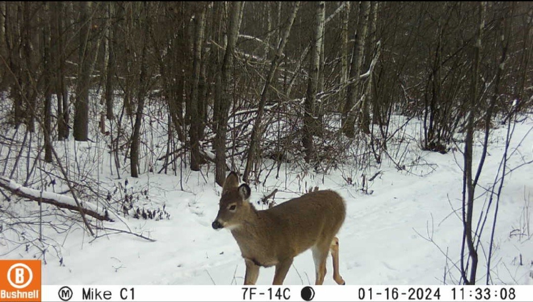 5770 N Bell School Road