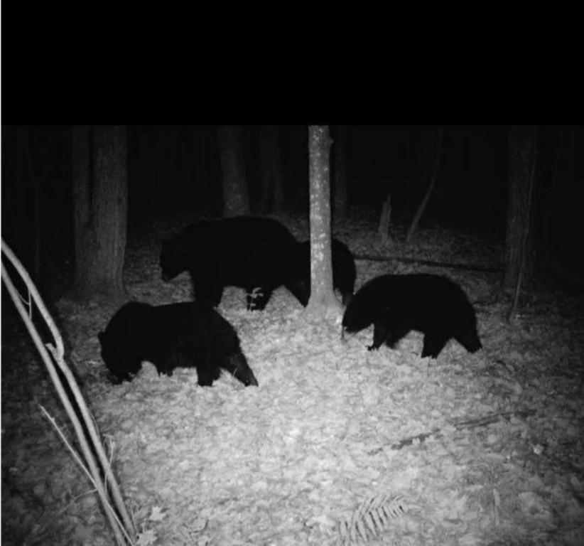 5770 N Bell School Road