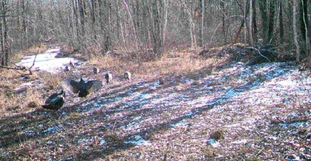 5770 N Bell School Road