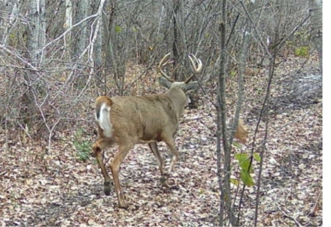 5770 N Bell School Road