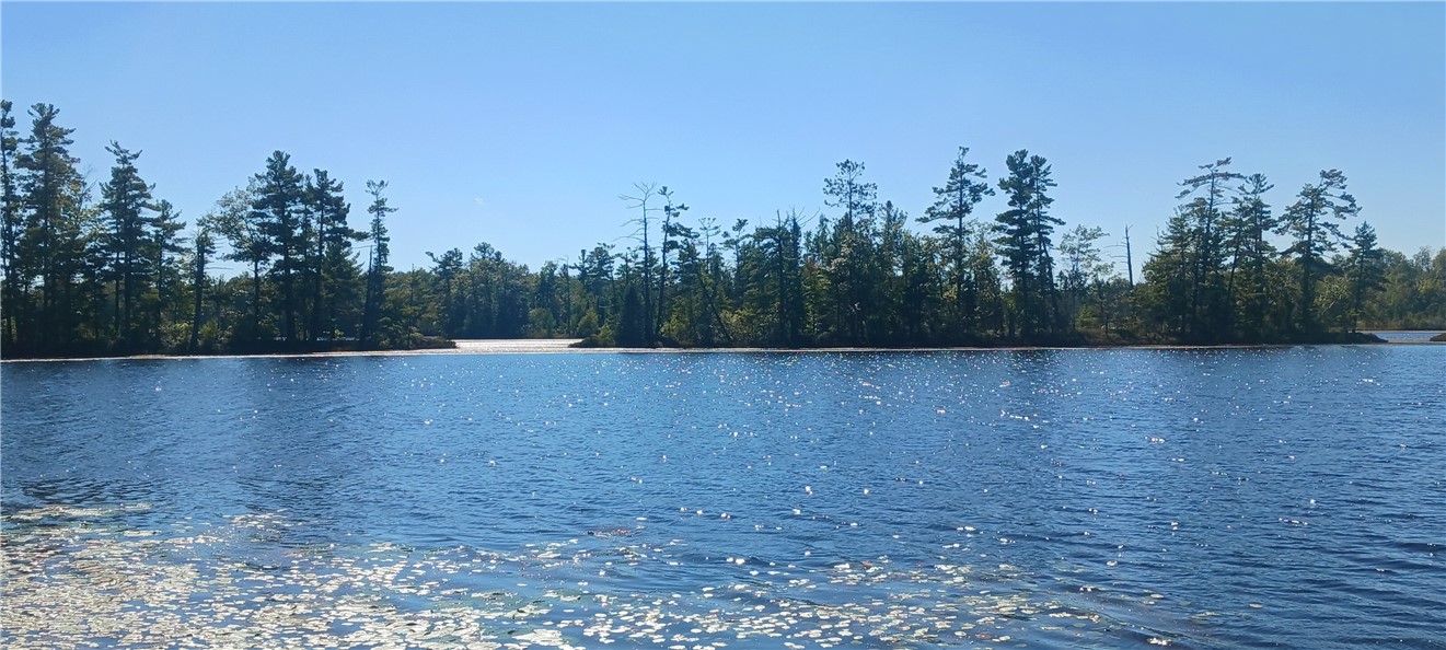 W15941 Bass Lake Road