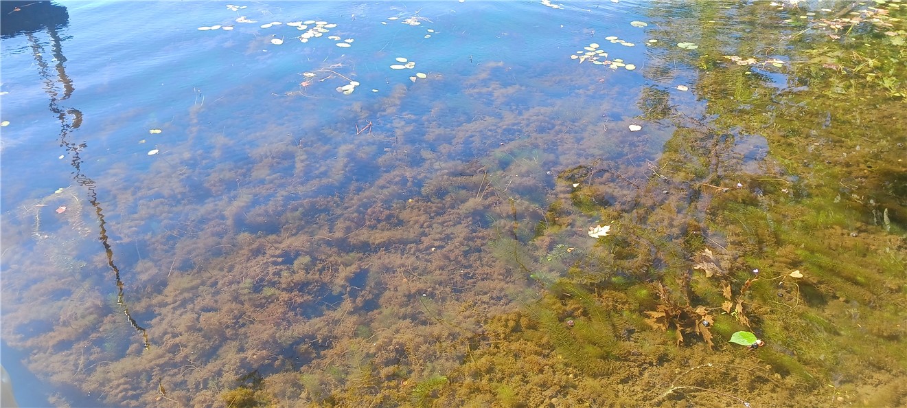 W15941 Bass Lake Road