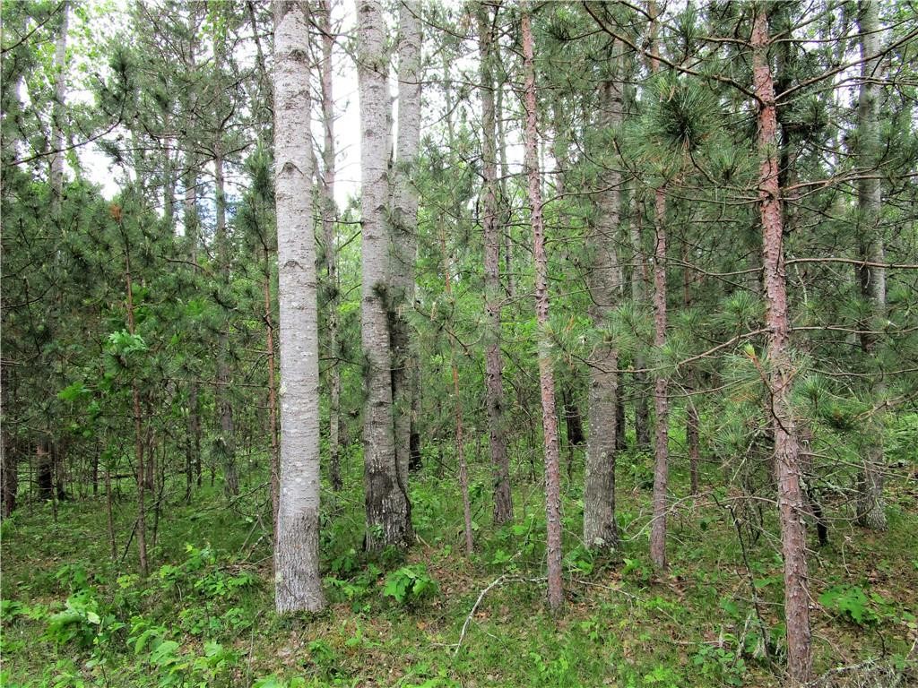 Lot 111 & 112 Bridle Road