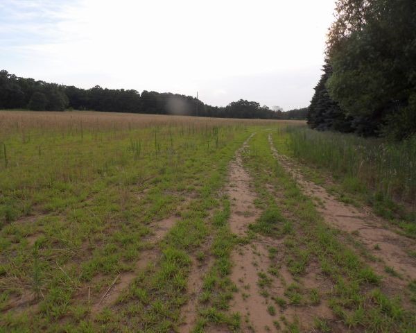 W 7856 Nelson Road