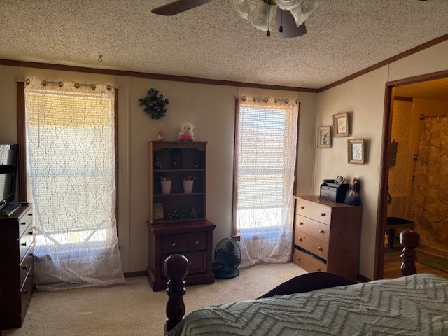 2536 County Hwy D