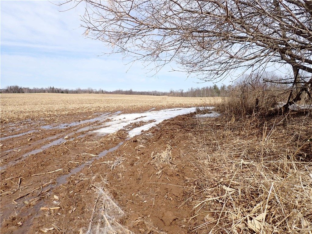 000 Rudy Road
