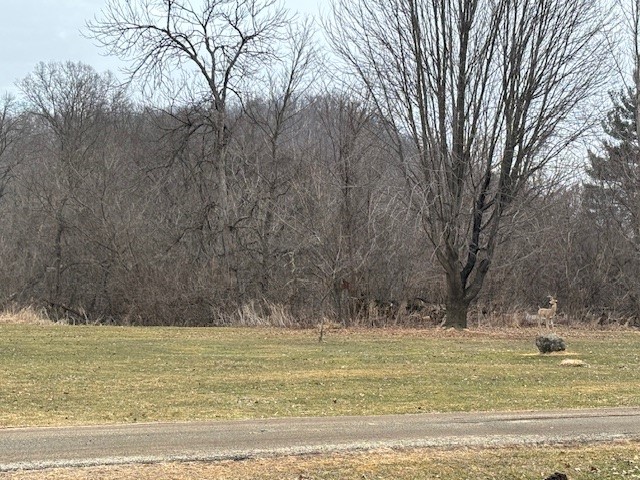 W9295 County Hwy SS