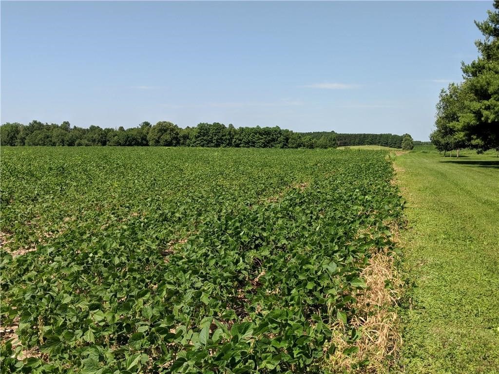 40 acres County Rd B West