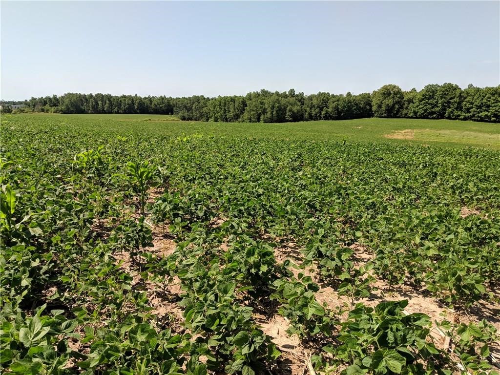 40 acres County Rd B West