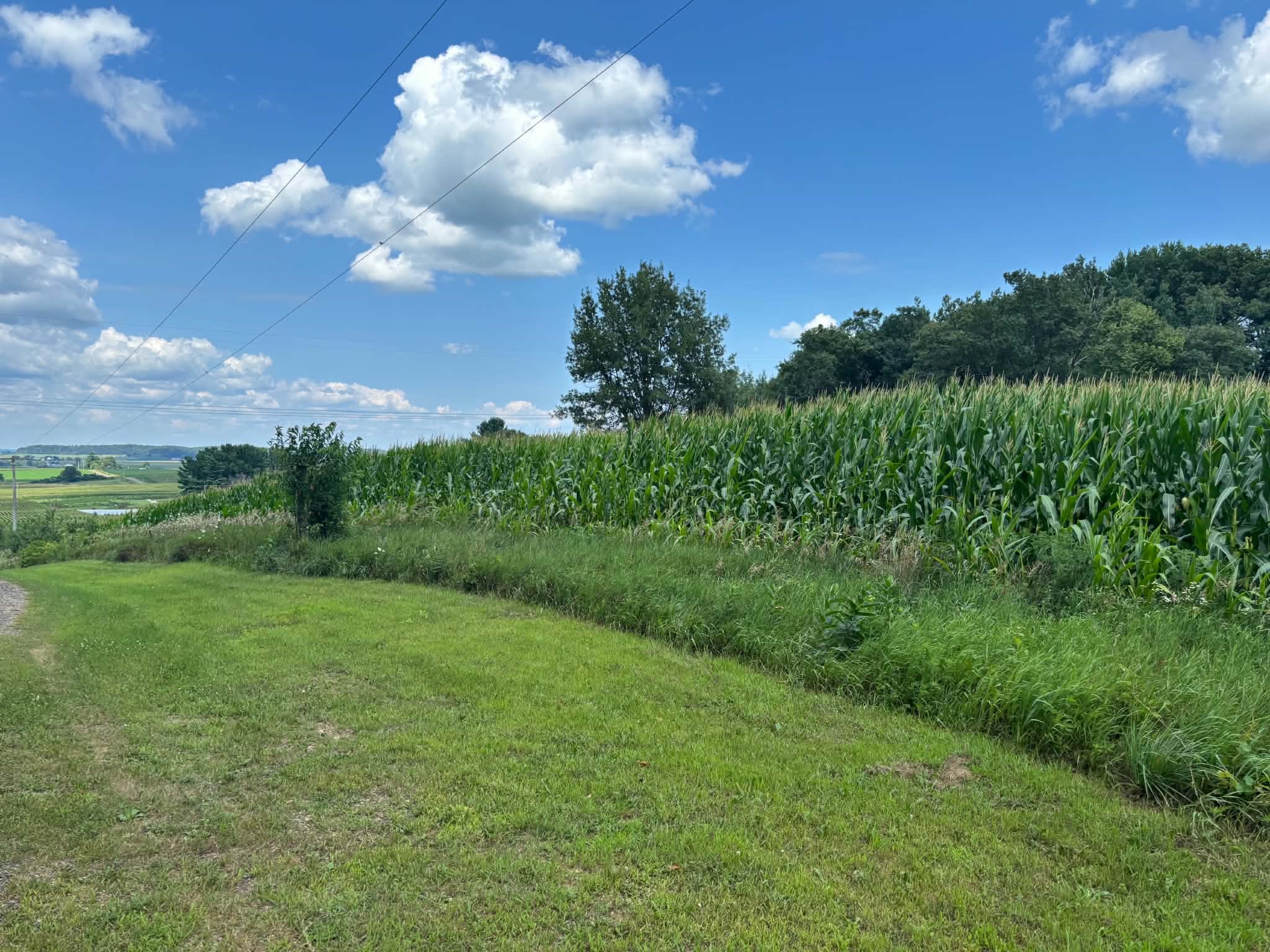 Vacant Land 420th Ave